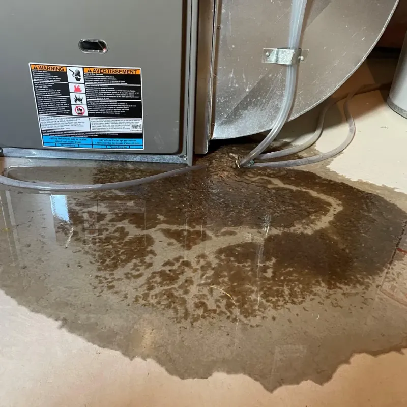 Appliance Leak Cleanup in Stanfield, NC